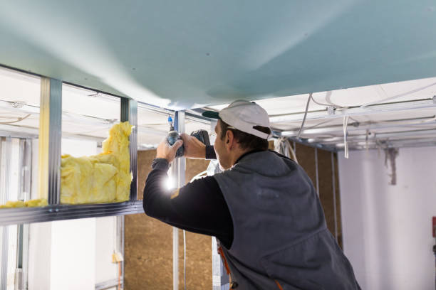 Best Specialized Insulation Services in Mcrae Helena, GA