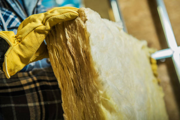 Best Insulation Maintenance and Repair in Mcrae Helena, GA
