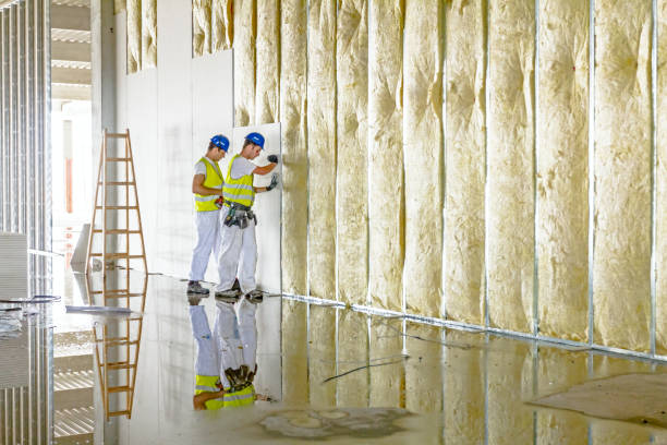 Best Eco-Friendly Insulation in Mcrae Helena, GA